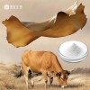 Bovine Collagen Peptide