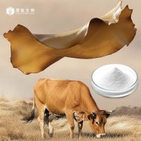 Bovine Collagen Peptide