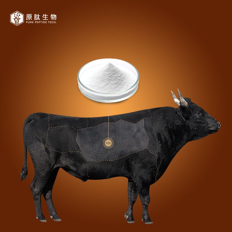Bovine Collagen Peptide